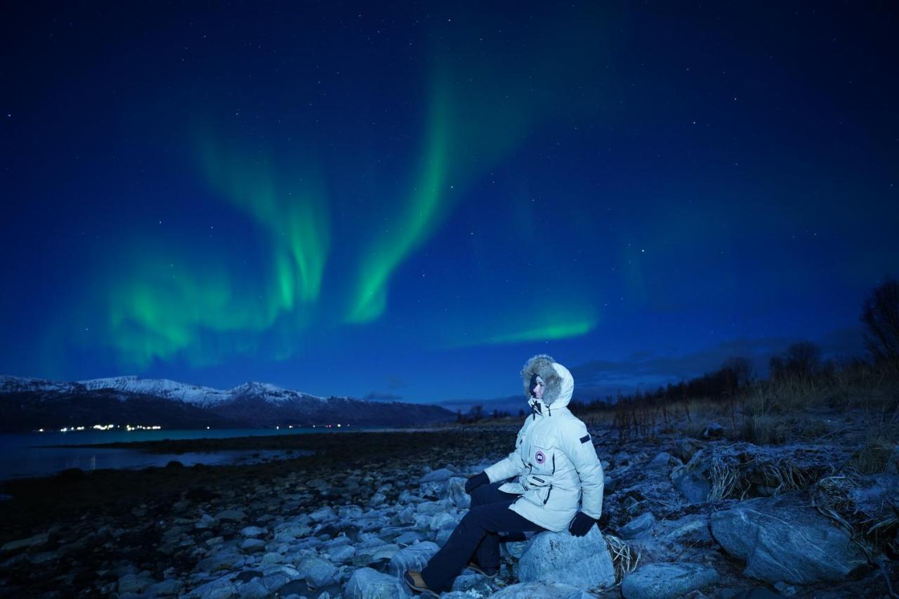 Arctic Rooms Rektor Tromso Exterior photo